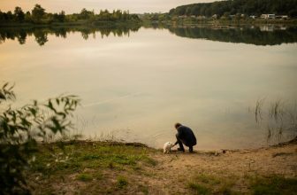 pet spay neuter timing advice